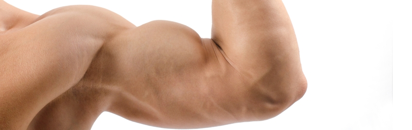 muscular arm
